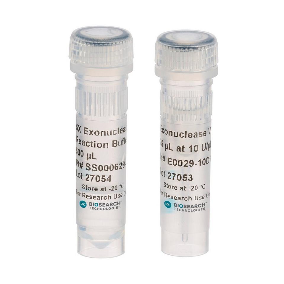 Exonuclease VII